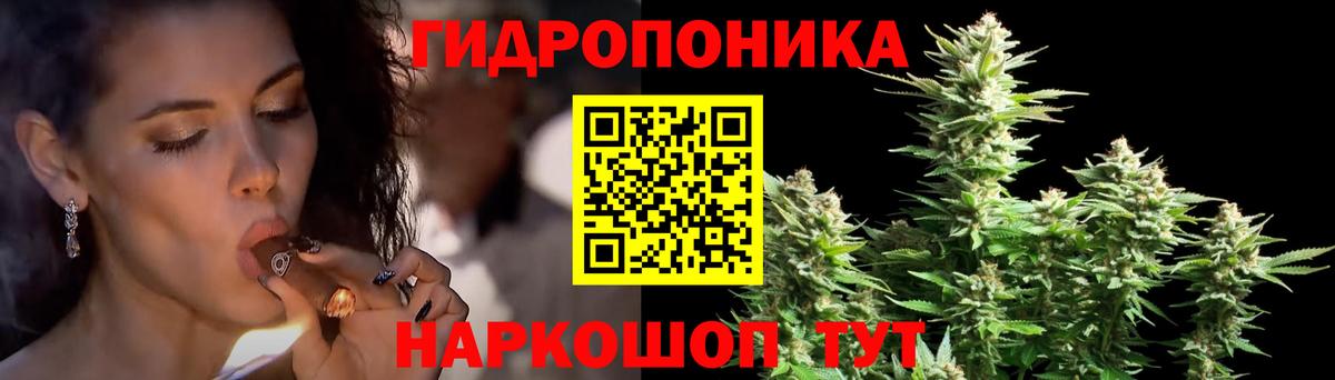 Конопля конопля Калининград